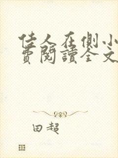 佳人在侧小说免费阅读全文无弹窗