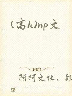 (高h)np文封面