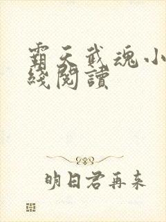 霸天武魂小说在线阅读