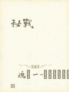 秘战