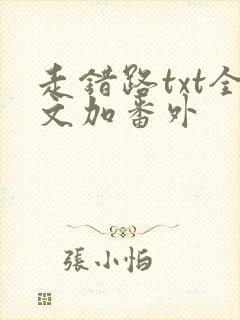 走错路txt全文加番外封面