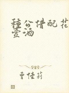 种公借配花间一壶酒