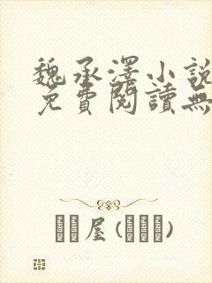 魏承泽小说全文免费阅读无弹窗笔趣