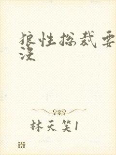狼性总裁要够了没