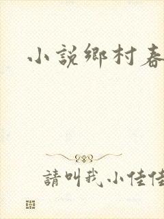 小说乡村春光封面