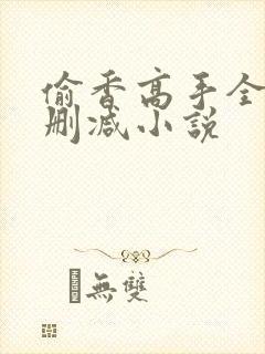 偷香高手全文无删减小说