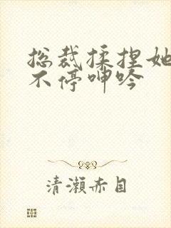 总裁揉捏她两乳不停呻吟