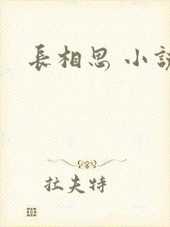 长相思 小说