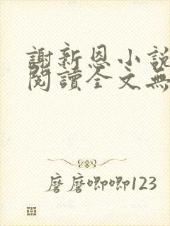 谢新恩小说免费阅读全文无弹窗封面
