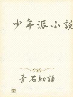 少年派小说