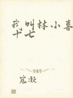 我叫林小喜今年十七