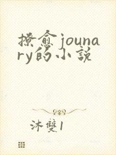 撩愈jounary的小说