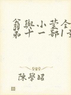 翁与小莹全目录第十一部1章