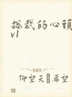 总裁的心头宝1v1