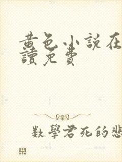 黄色小说在线阅读免费