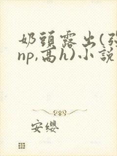 奶头露出(强jnp,高h)小说