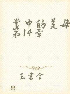 掌中的美母版主第14章