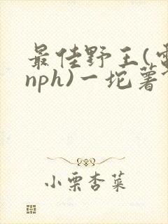 最佳野王(电竞nph)一坨薯饼