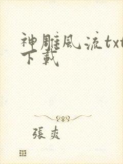 神雕风流txt下载封面