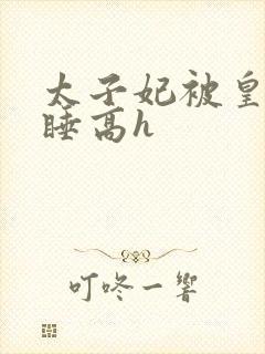 太子妃被皇上强睡高h