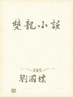 双龙小说