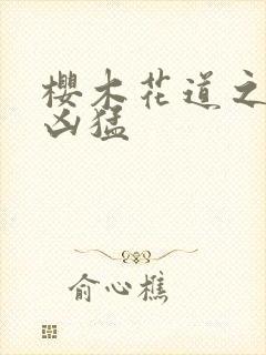 樱木花道之重生凶猛