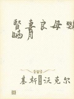 贤妻良母 鹦鹉晒月封面