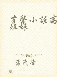 有声小说高树三姐妹封面