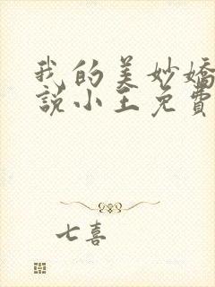 我的美妙娇妻小说小王免费阅读