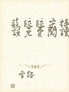 苏皎皎宋持的小说免费阅读