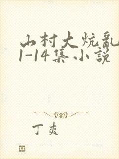 山村大炕乱肉续1-14集小说