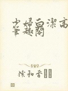 少妇白洁高义传笔趣阁封面