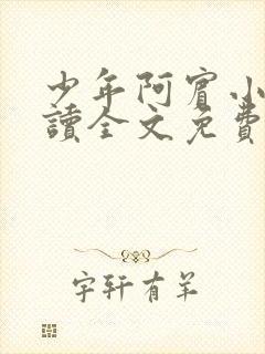少年阿宾小说阅读全文免费无删减