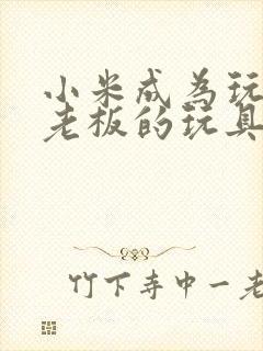 小米成为玩具店老板的玩具