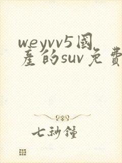 weyvv5国产的suv免费