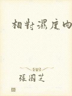 相对湿度肉车封面