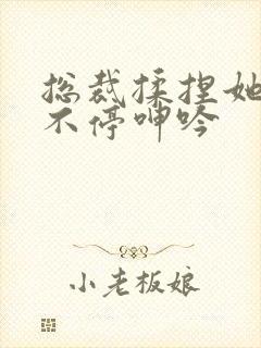 总裁揉捏她两乳不停呻吟