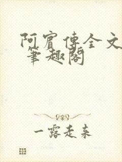 阿宾传全文阅读 笔趣阁