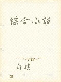 综合小说封面