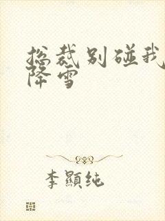 总裁别碰我 韩降雪