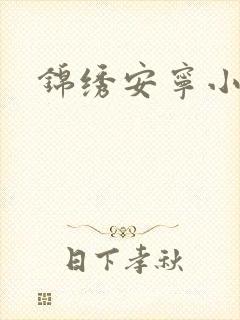 锦绣安宁小说封面