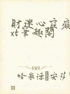 财迷心窍癫婆txt笔趣阁封面