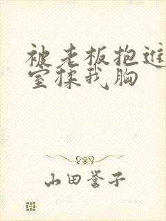 被老板抱进办公室揉我胸