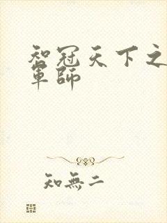 智冠天下之风流军师封面