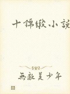十锦缎小说封面