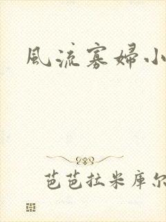 风流寡妇小说封面