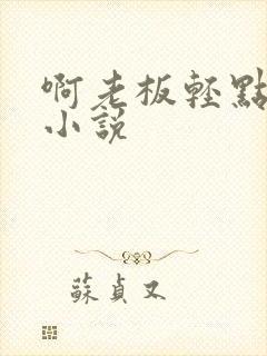 啊老板轻点高h小说封面