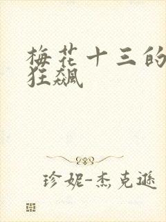 梅花十三的乳液狂飙
