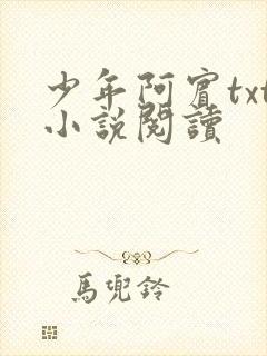 少年阿宾txt小说阅读