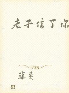 老子信了你的邪